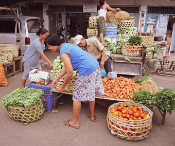 Verschillende mogelijkheden voor uitstapjes in het noorden van Bali